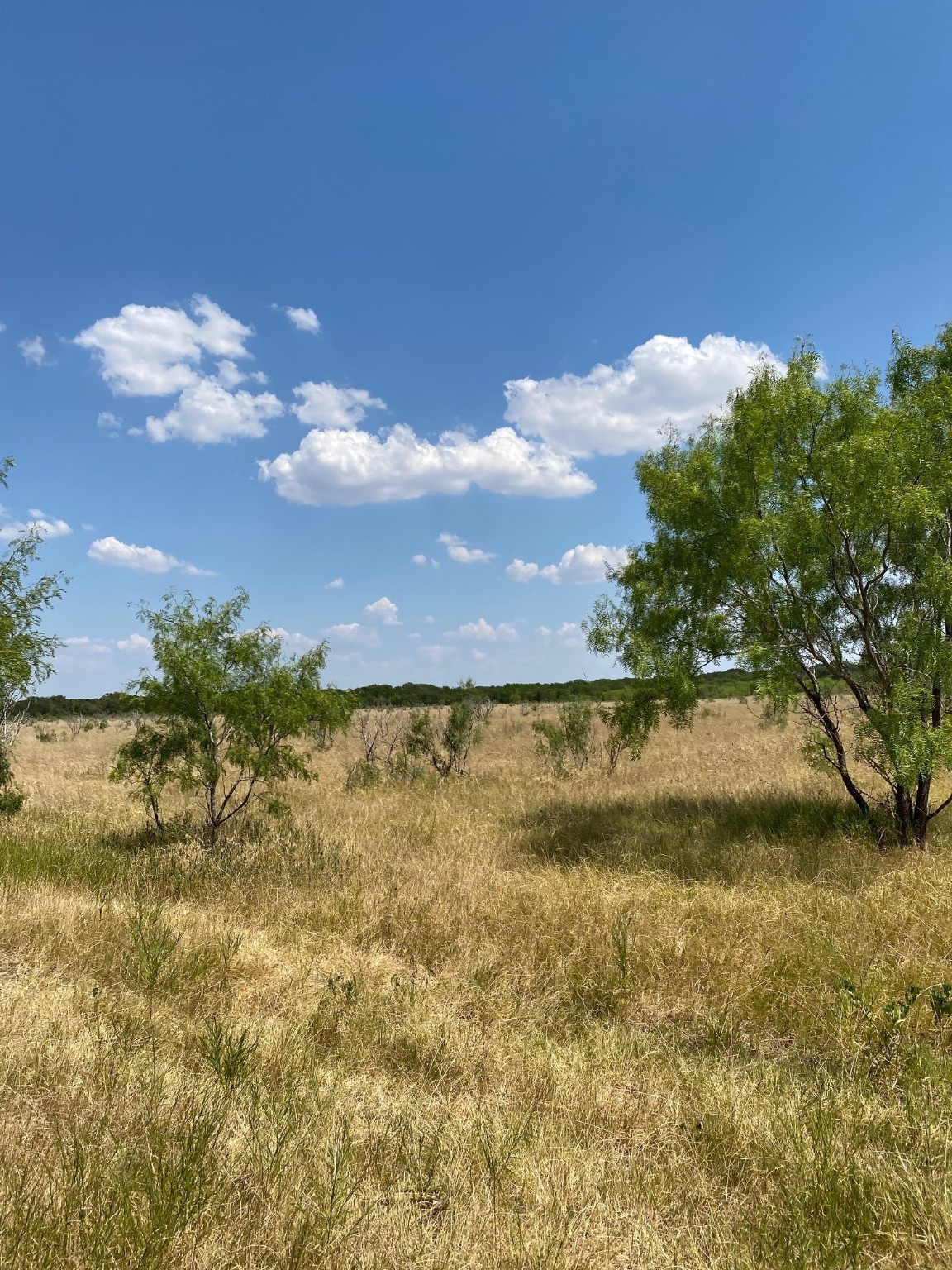 Tbd W Highway 84 Prairie Hill TX 76678