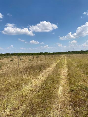 Tbd W Highway 84 Prairie Hill TX 76678
