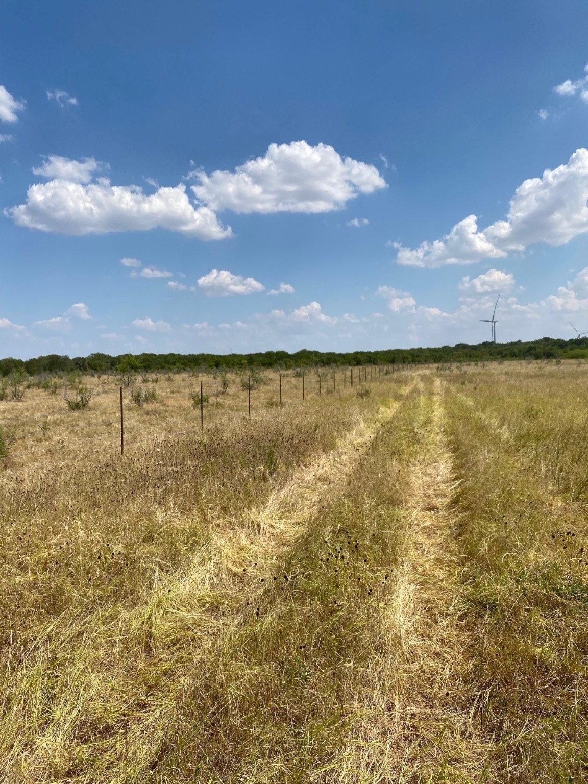 Tbd W Highway 84 Prairie Hill TX 76678