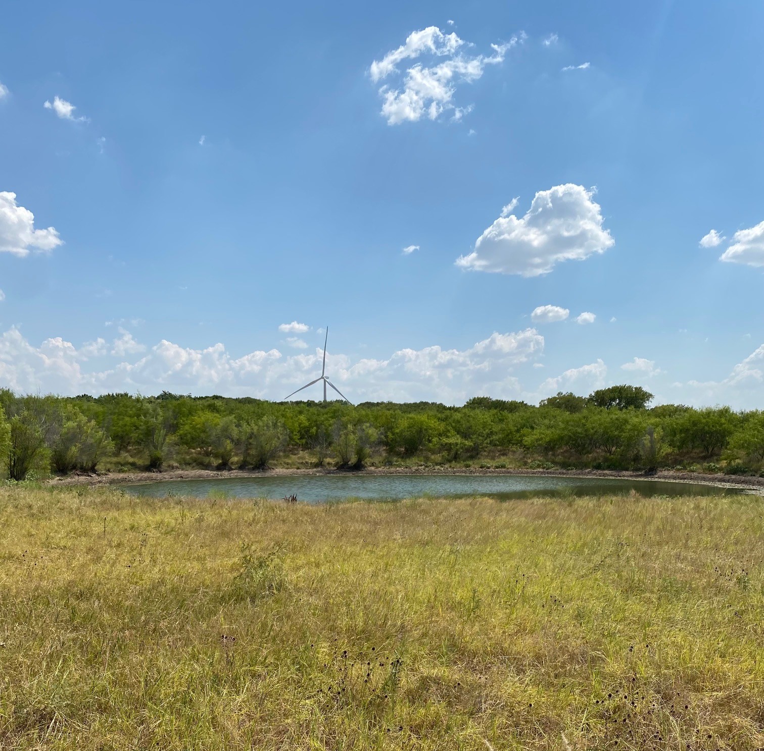 Tbd W Highway 84 Prairie Hill TX 76678