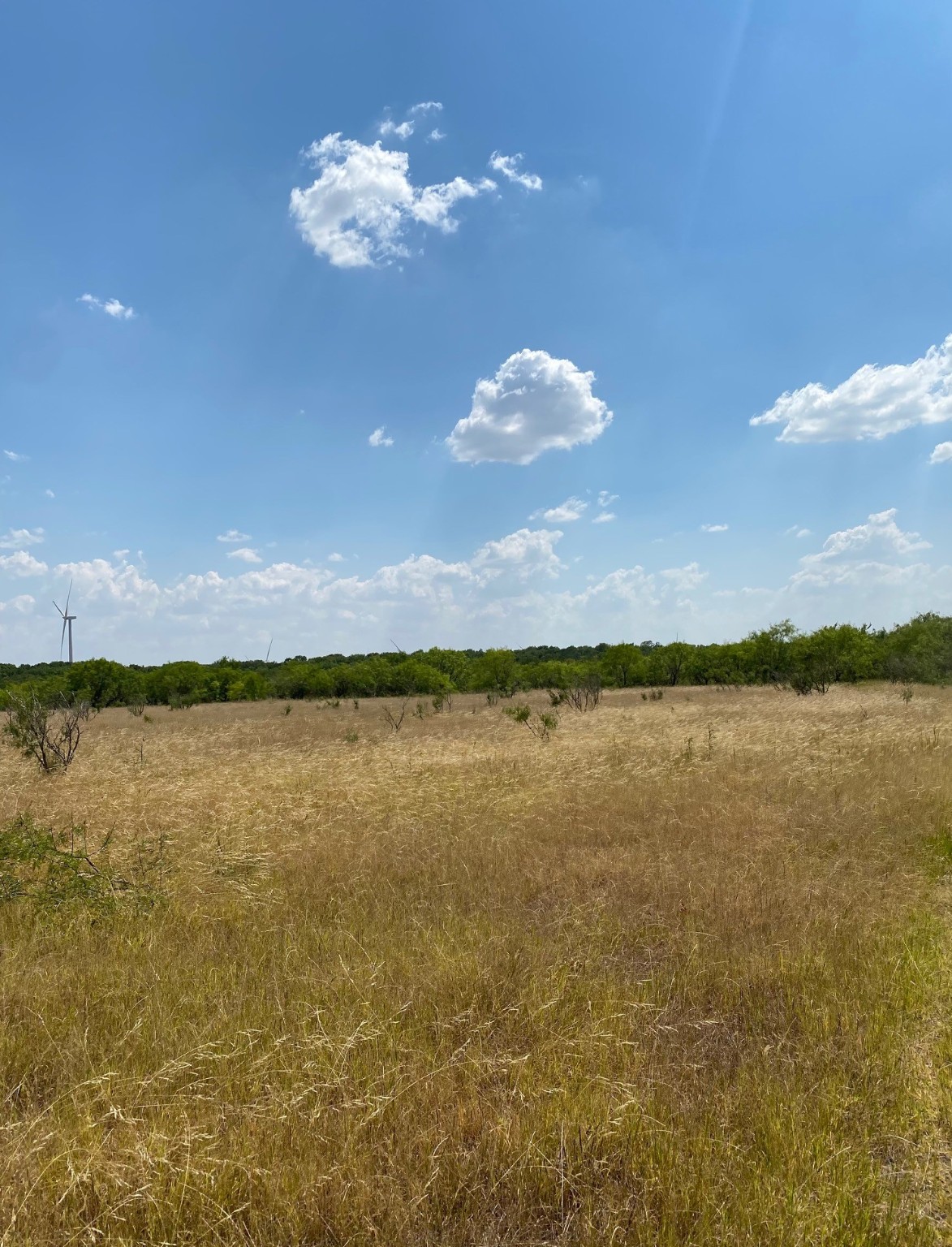 Tbd W Highway 84 Prairie Hill TX 76678