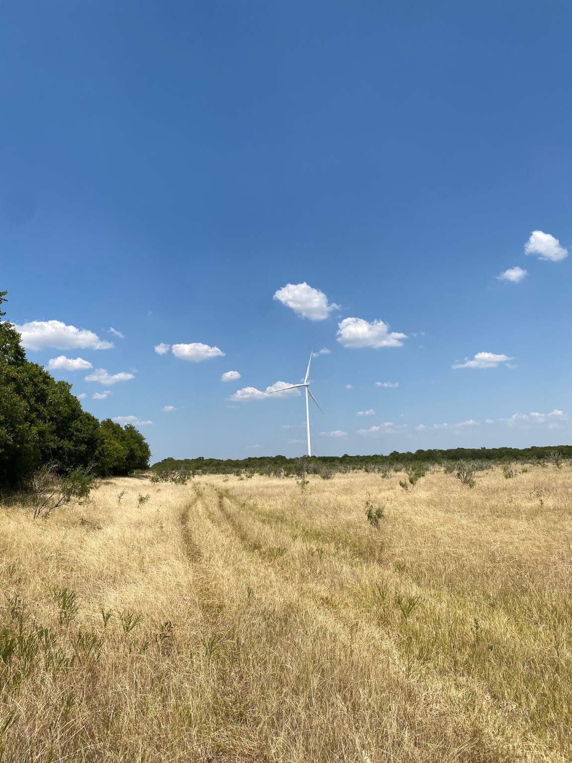 Tbd W Highway 84 Prairie Hill TX 76678