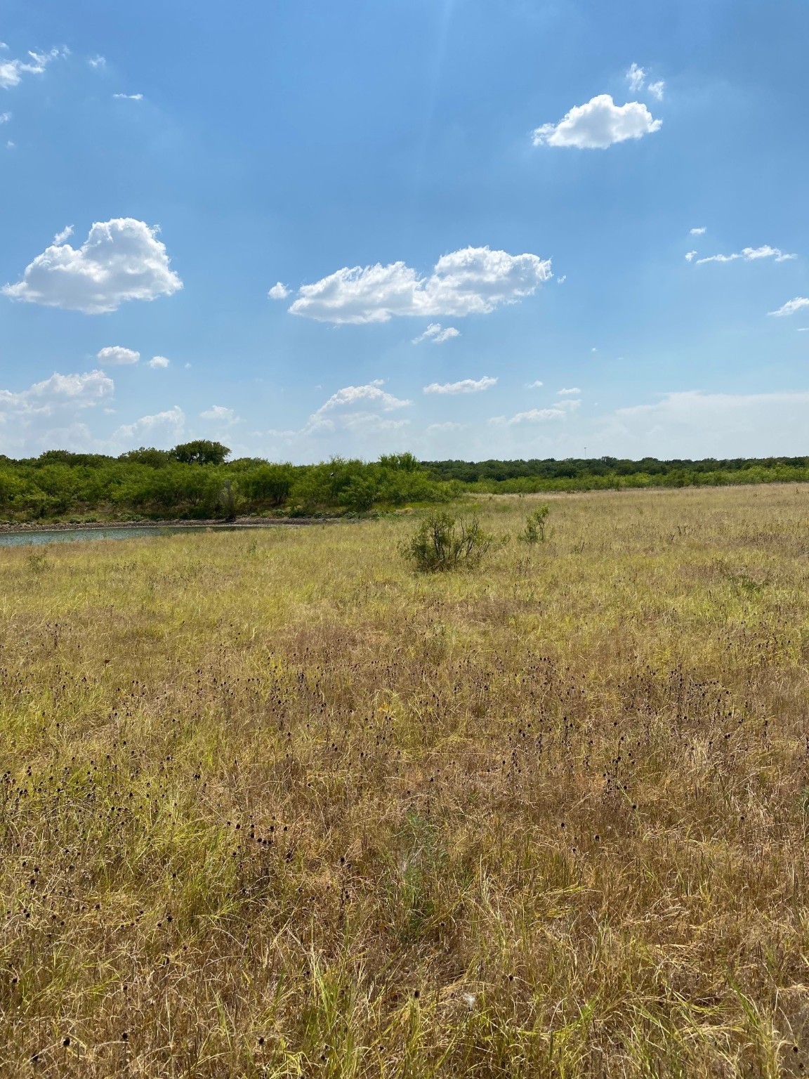 Tbd W Highway 84 Prairie Hill TX 76678