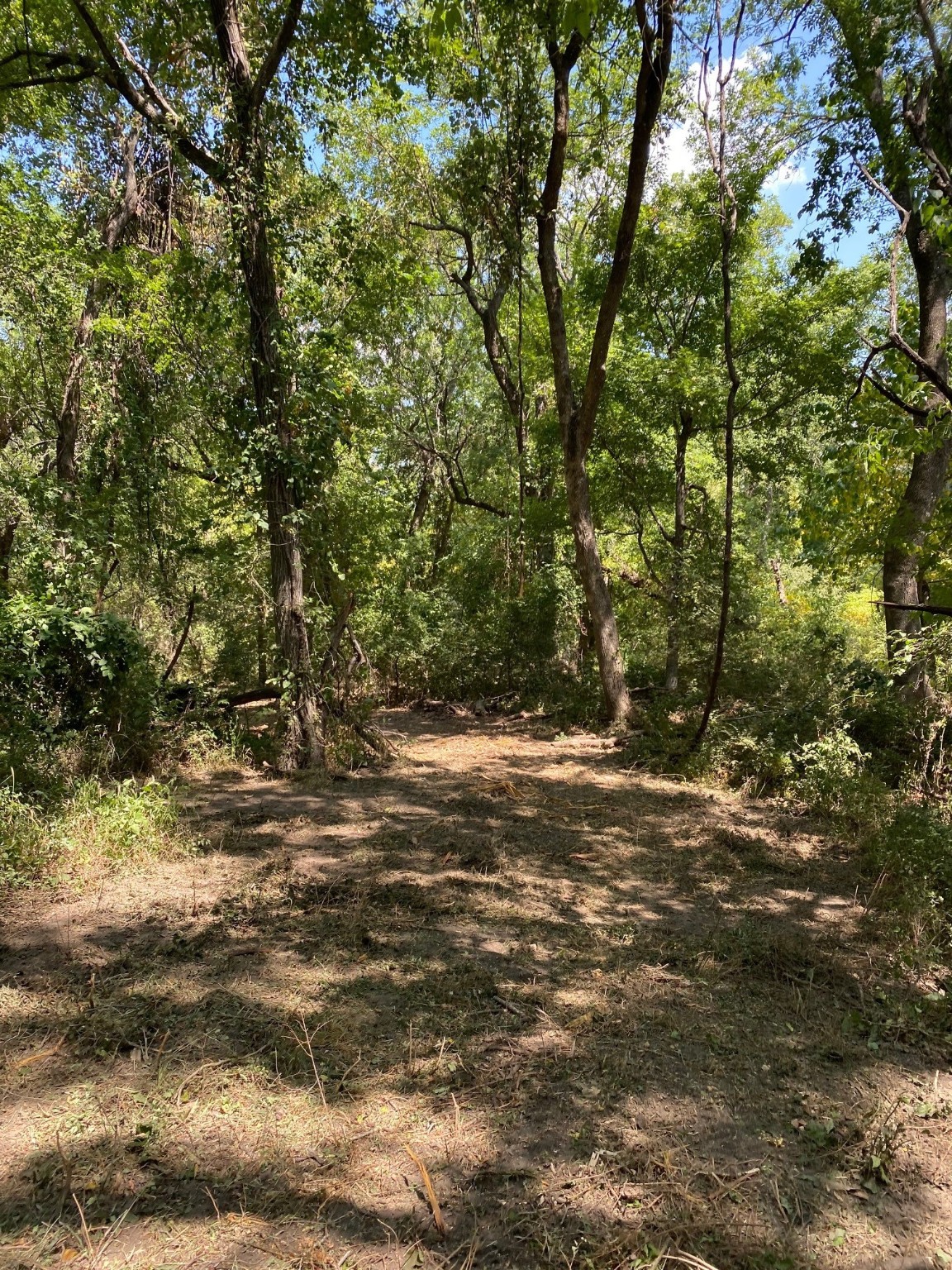 Tbd W Highway 84 Prairie Hill TX 76678