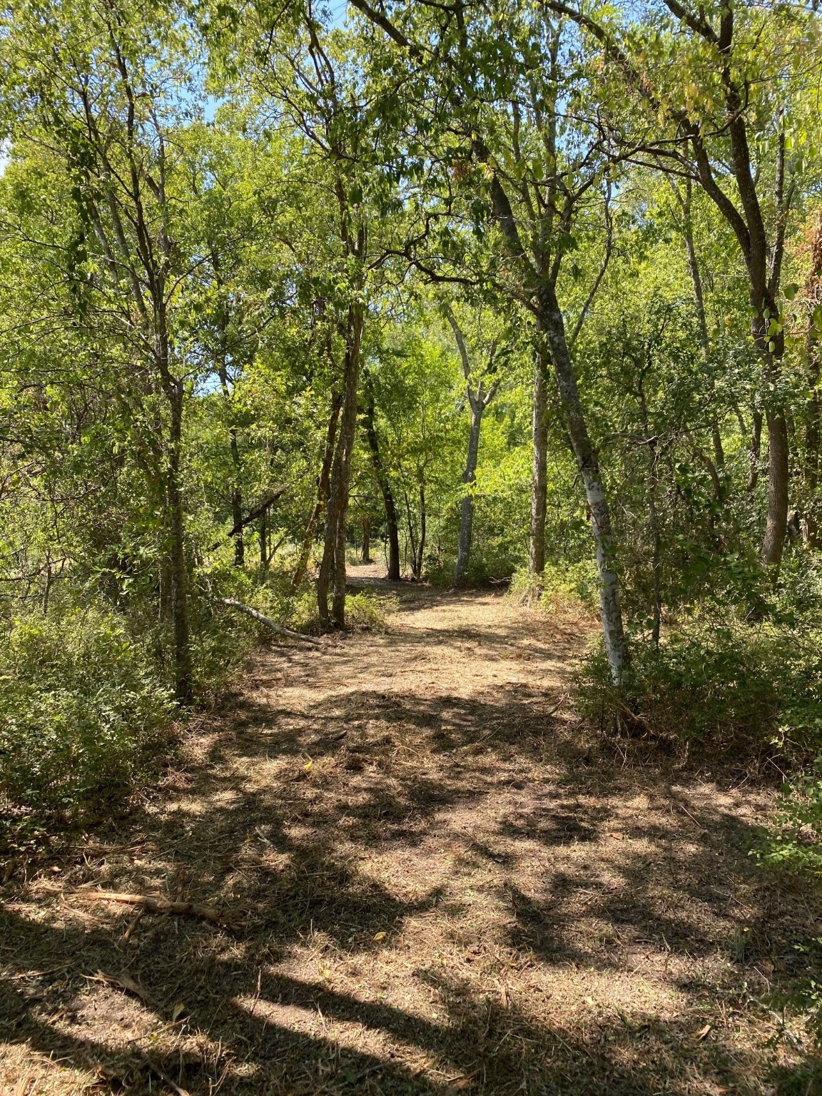 Tbd W Highway 84 Prairie Hill TX 76678
