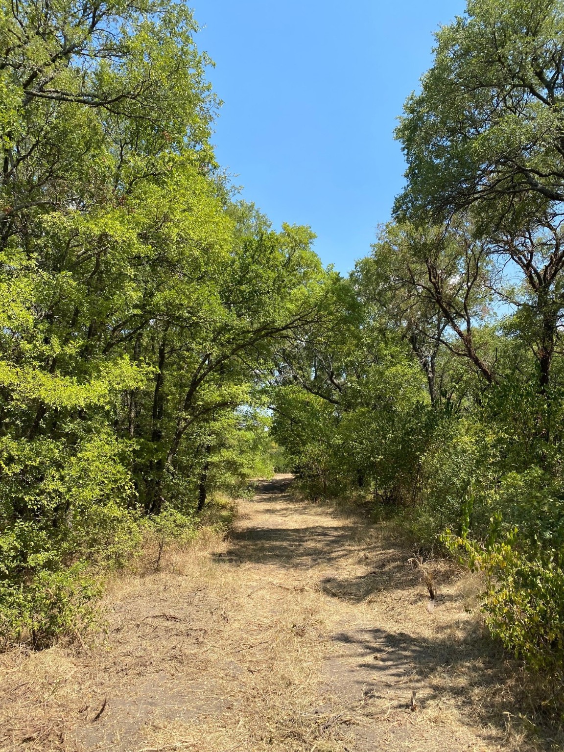 Tbd W Highway 84 Prairie Hill TX 76678