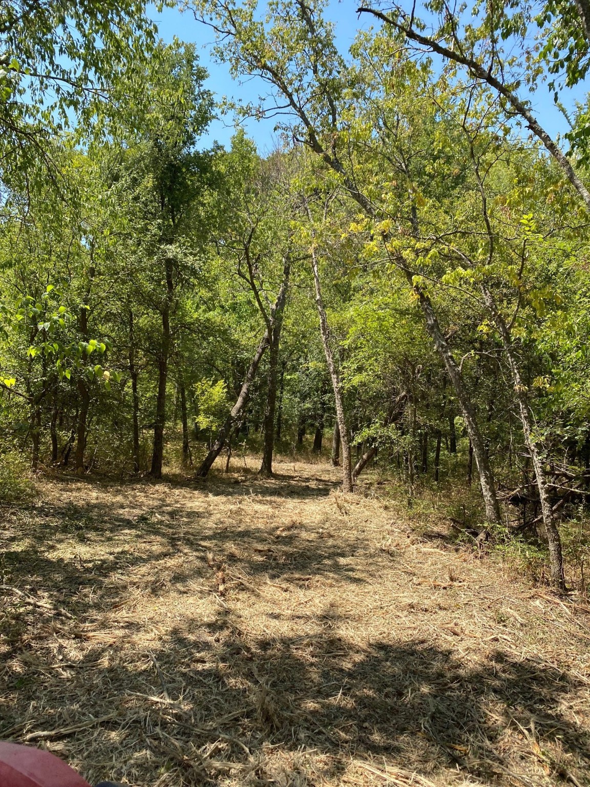 Tbd W Highway 84 Prairie Hill TX 76678
