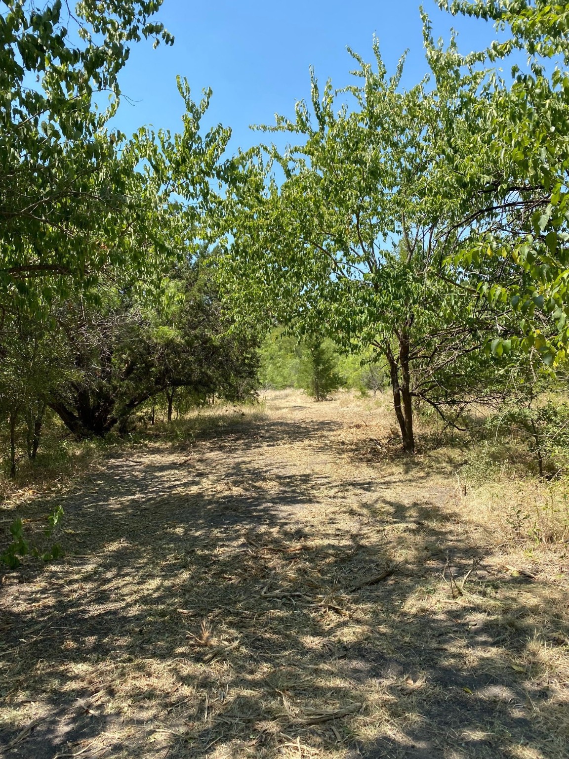 Tbd W Highway 84 Prairie Hill TX 76678