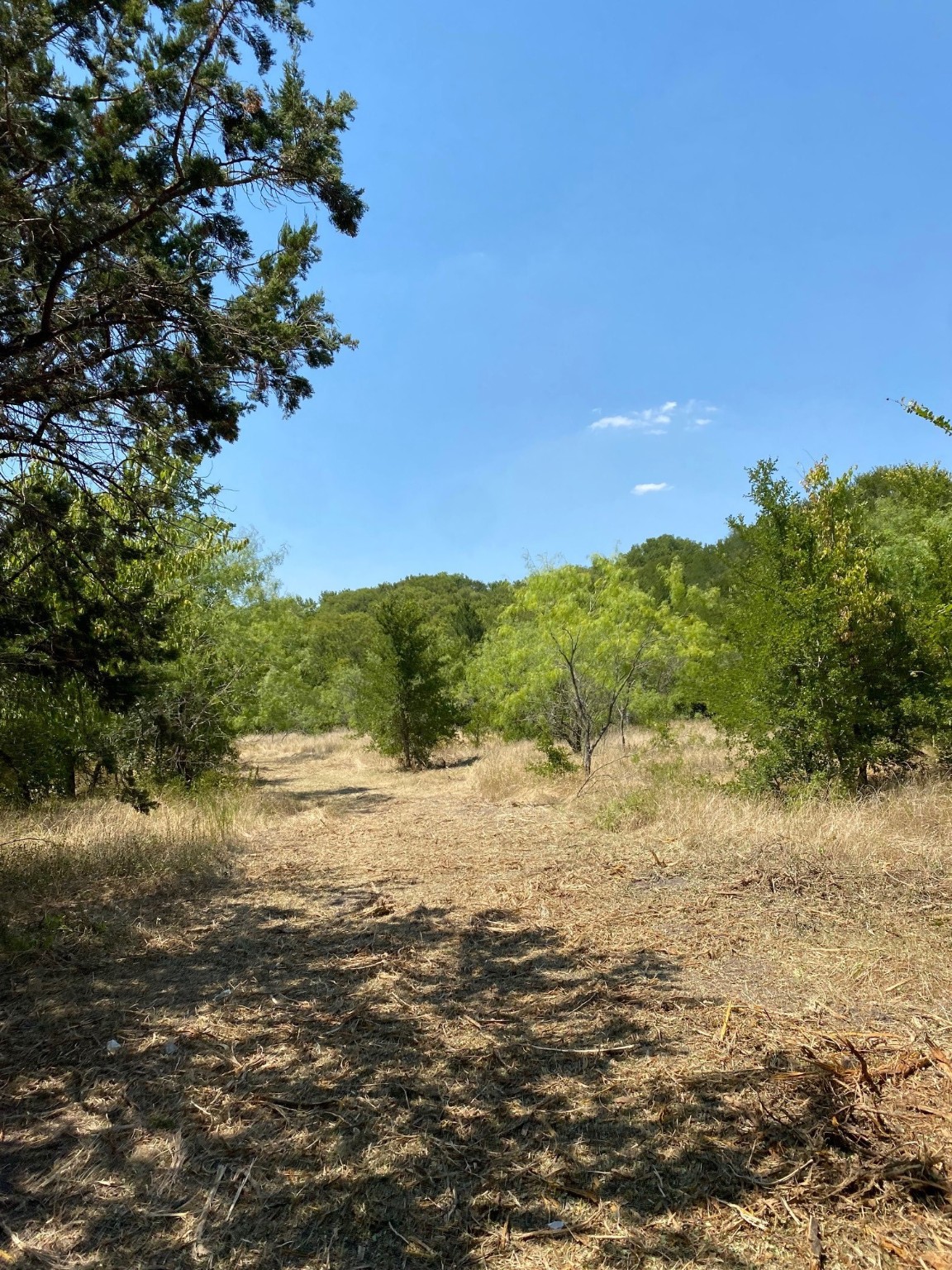 Tbd W Highway 84 Prairie Hill TX 76678