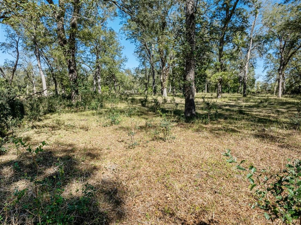 5201 Us Highway 90a W Gonzales TX 78629