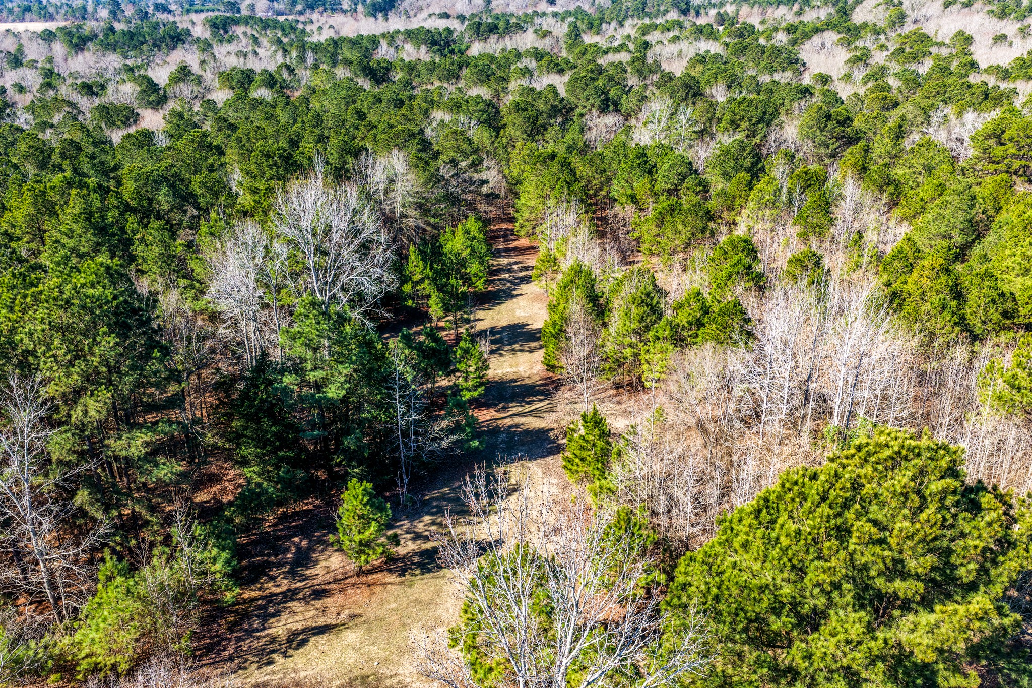 1609 C R 246 S Tyler TX 75705