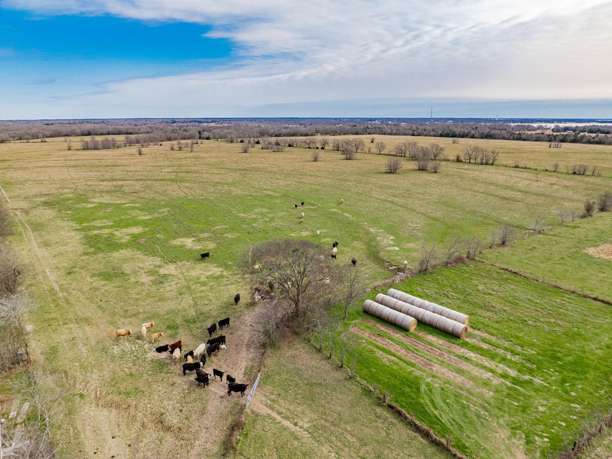 352 Rs County Road 1605 Point TX 75472