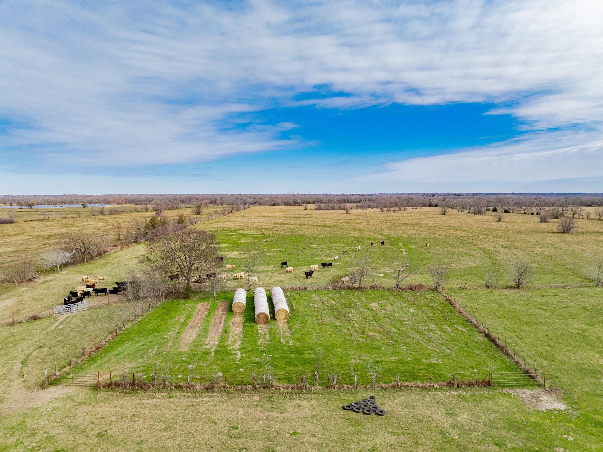 352 Rs County Road 1605 Point TX 75472