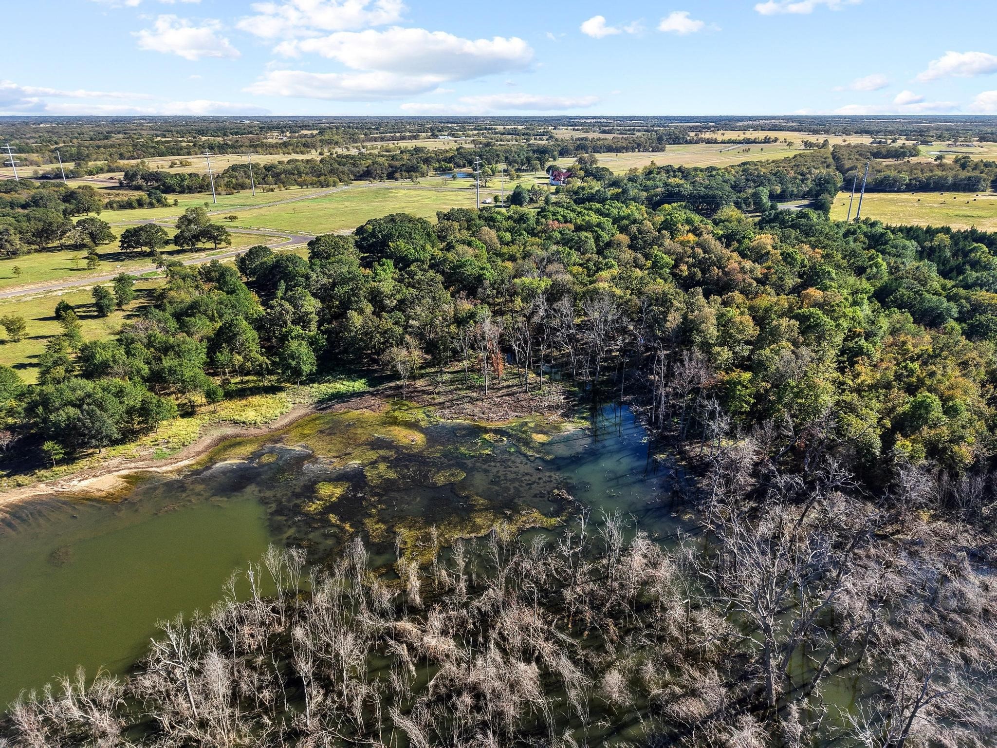 445 Wildflower Way Dodd City TX 75438