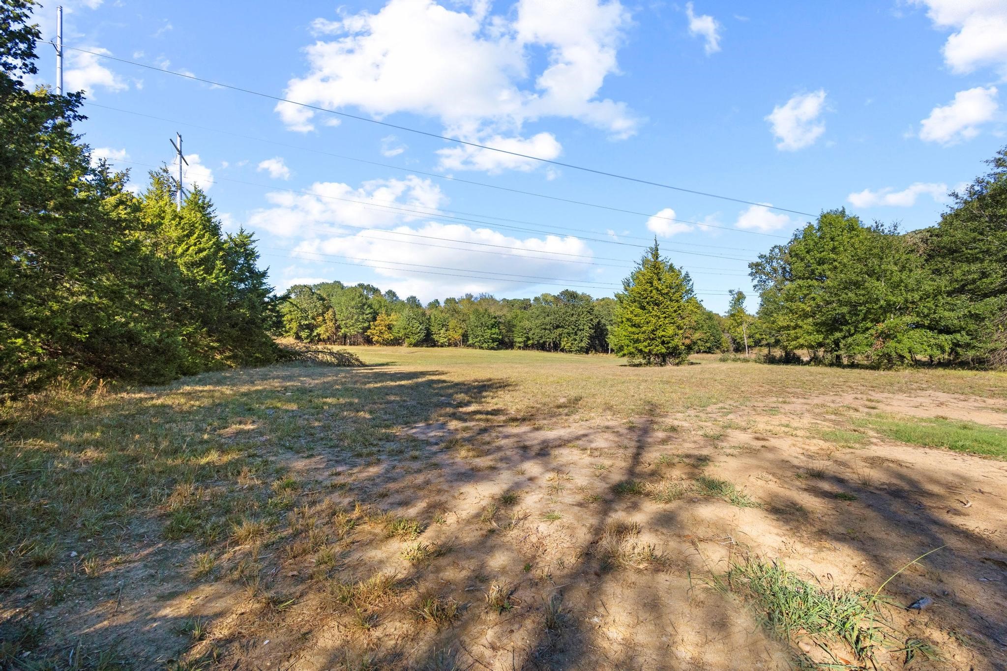 445 Wildflower Way Dodd City TX 75438