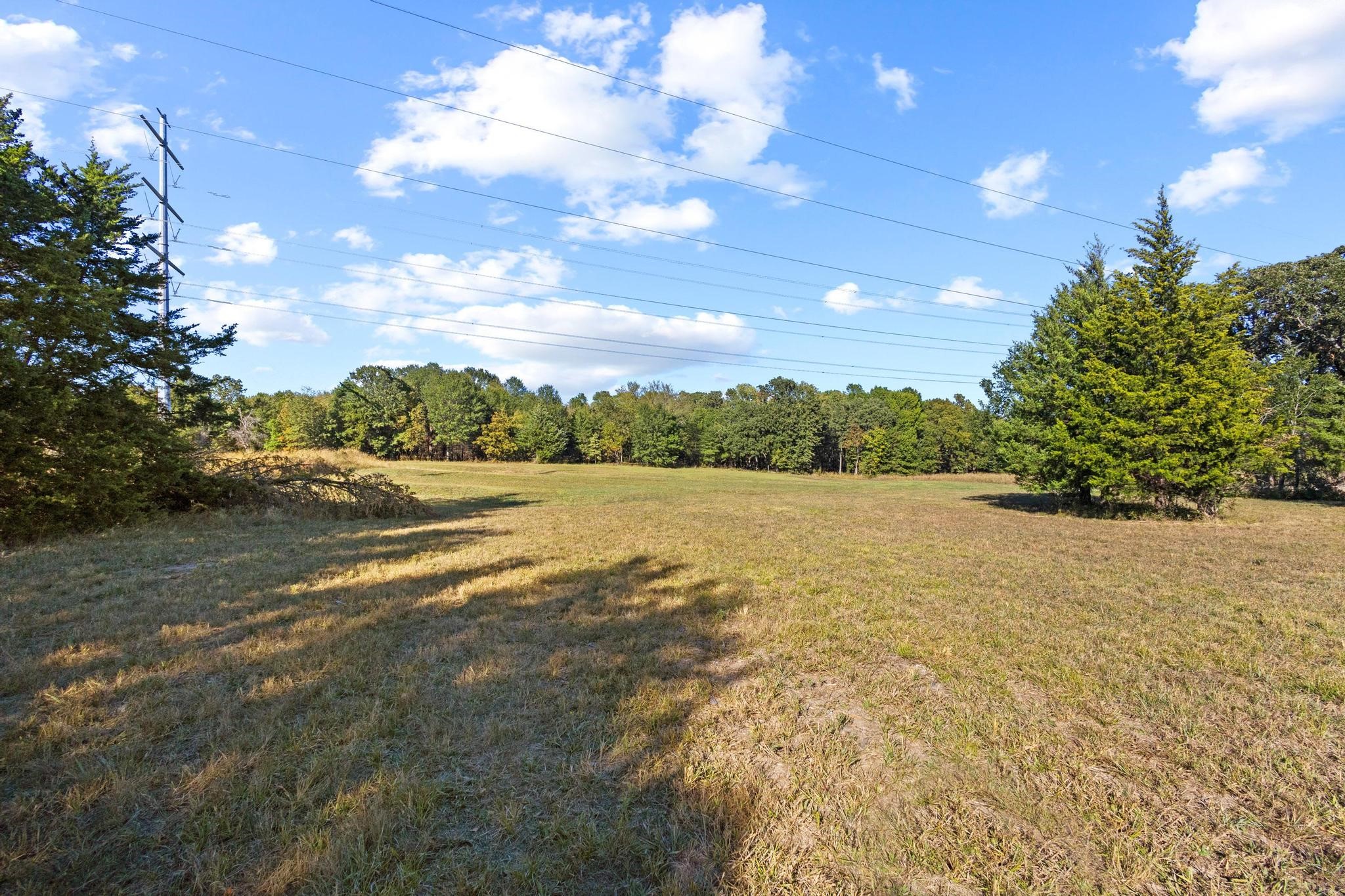 445 Wildflower Way Dodd City TX 75438