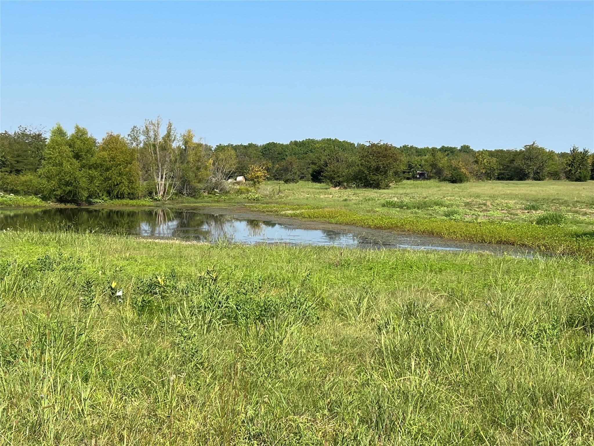 Tbd County Road 4145 Cooper TX 75432