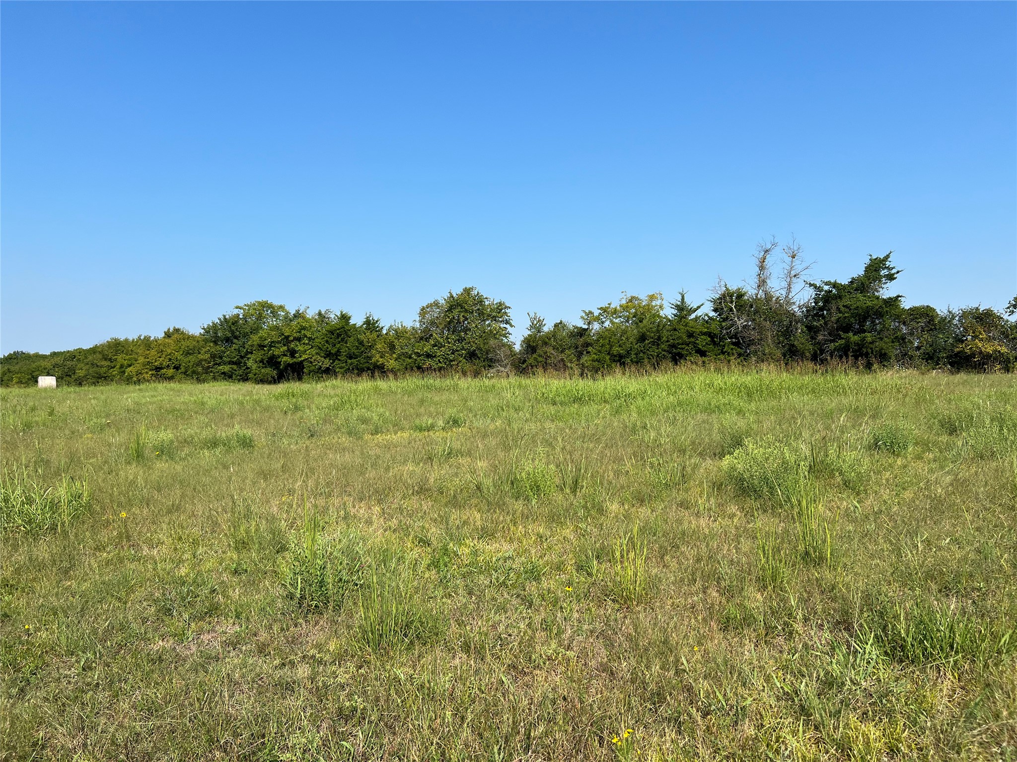 Tbd County Road 4145 Cooper TX 75432