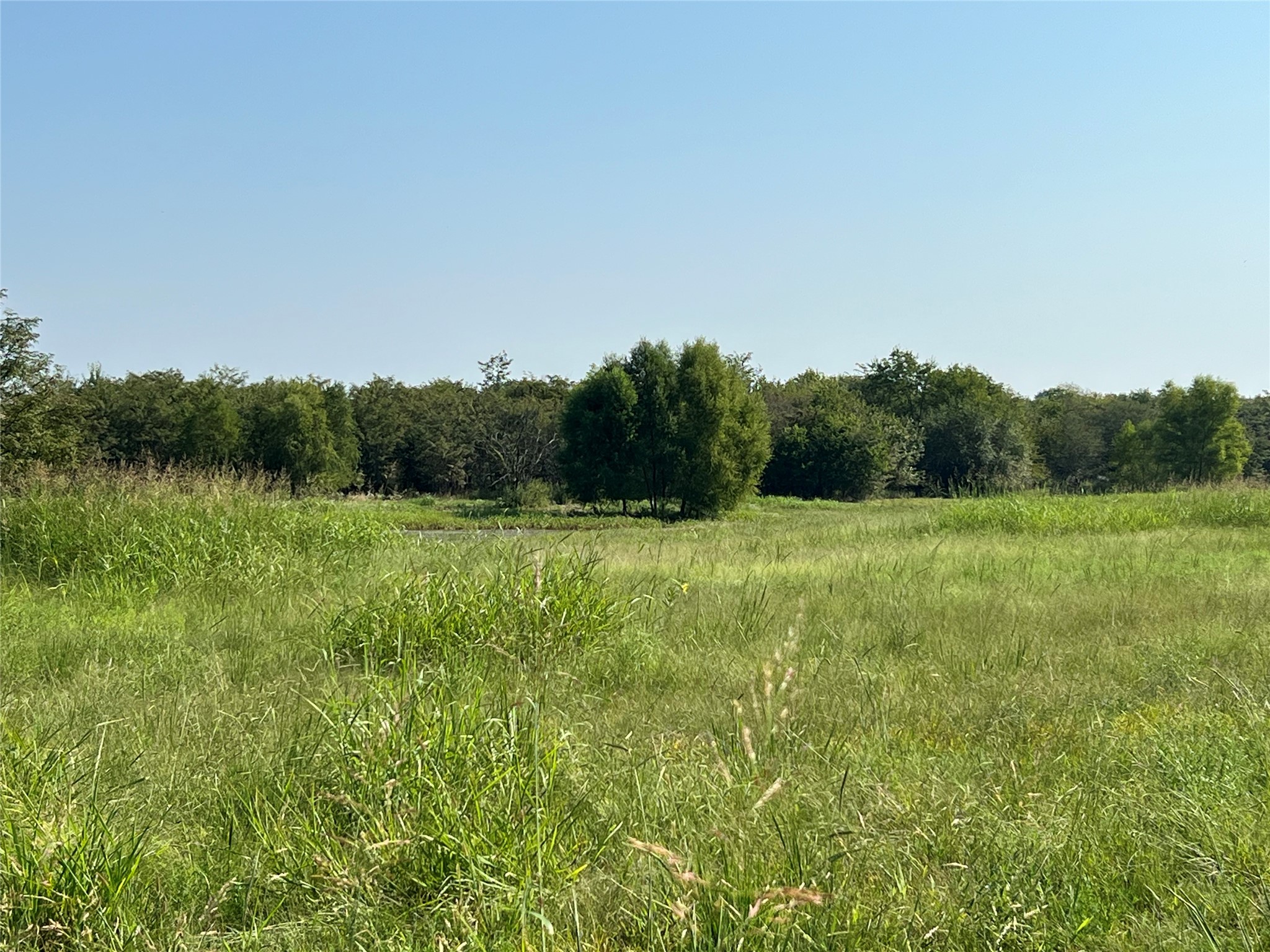 Tbd County Road 4145 Cooper TX 75432