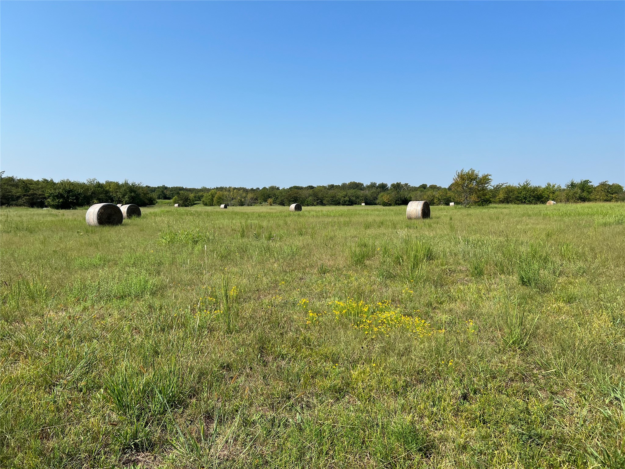 Tbd County Road 4145 Cooper TX 75432