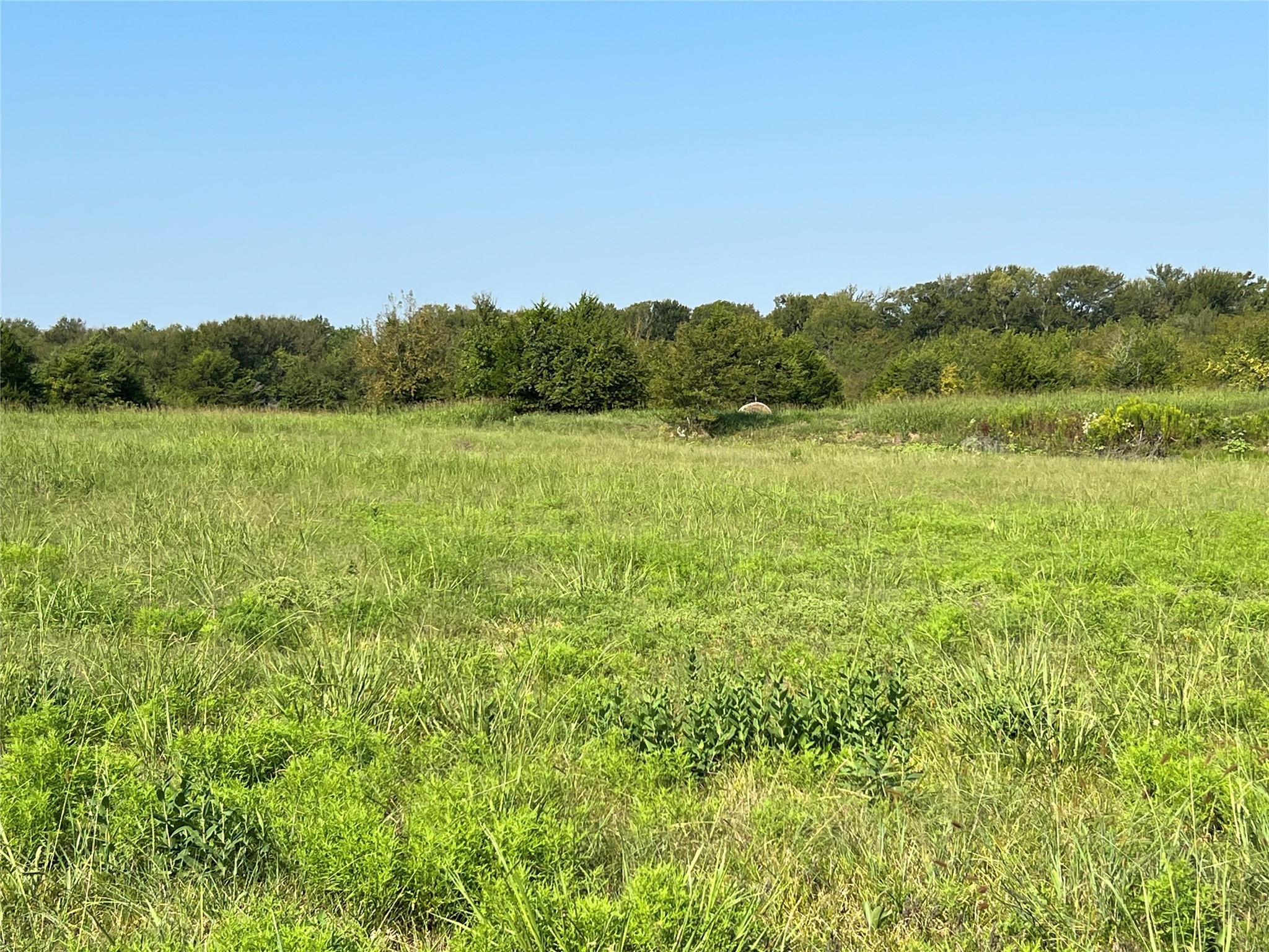 Tbd County Road 4145 Cooper TX 75432