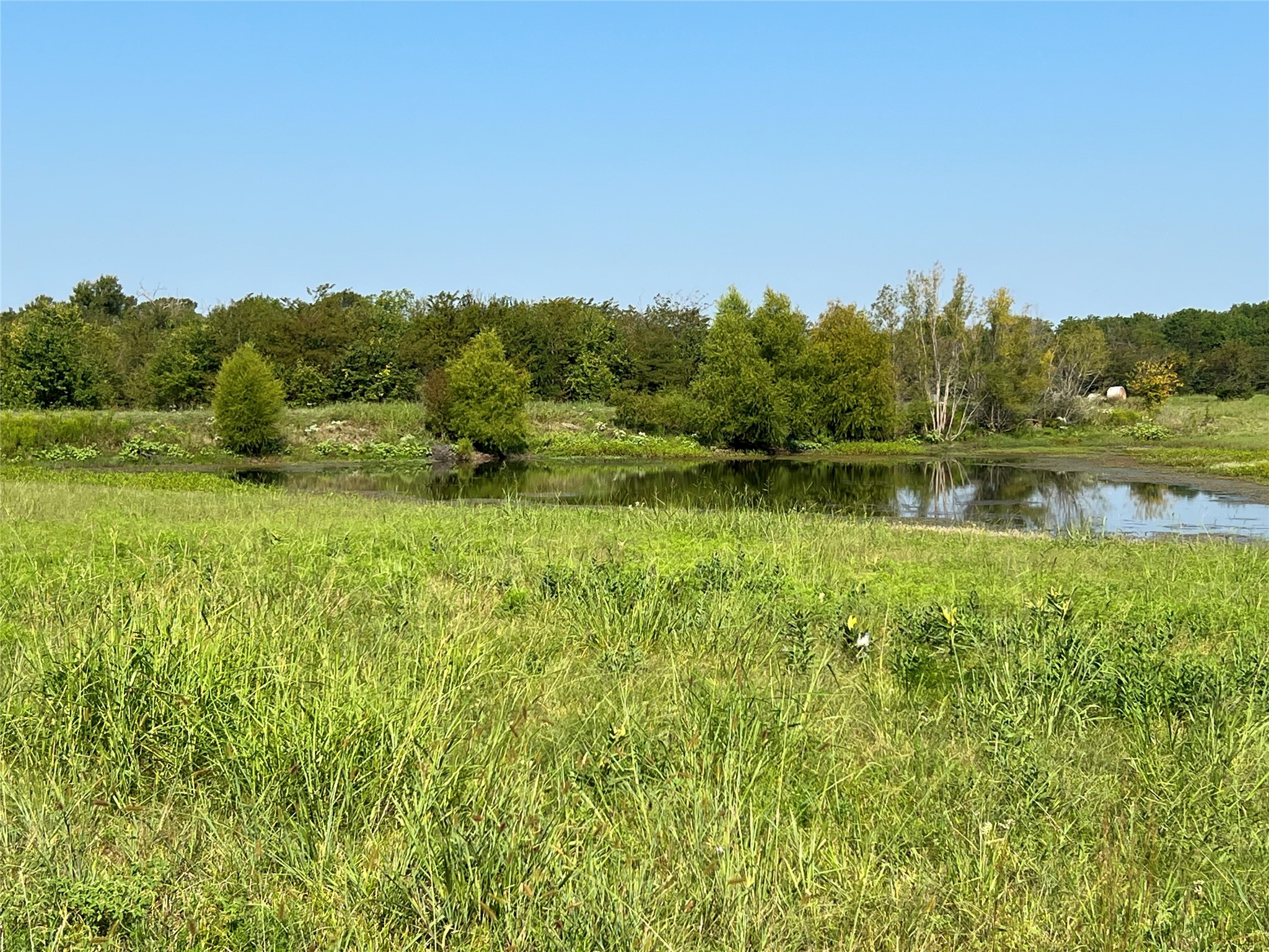 Tbd County Road 4145 Cooper TX 75432