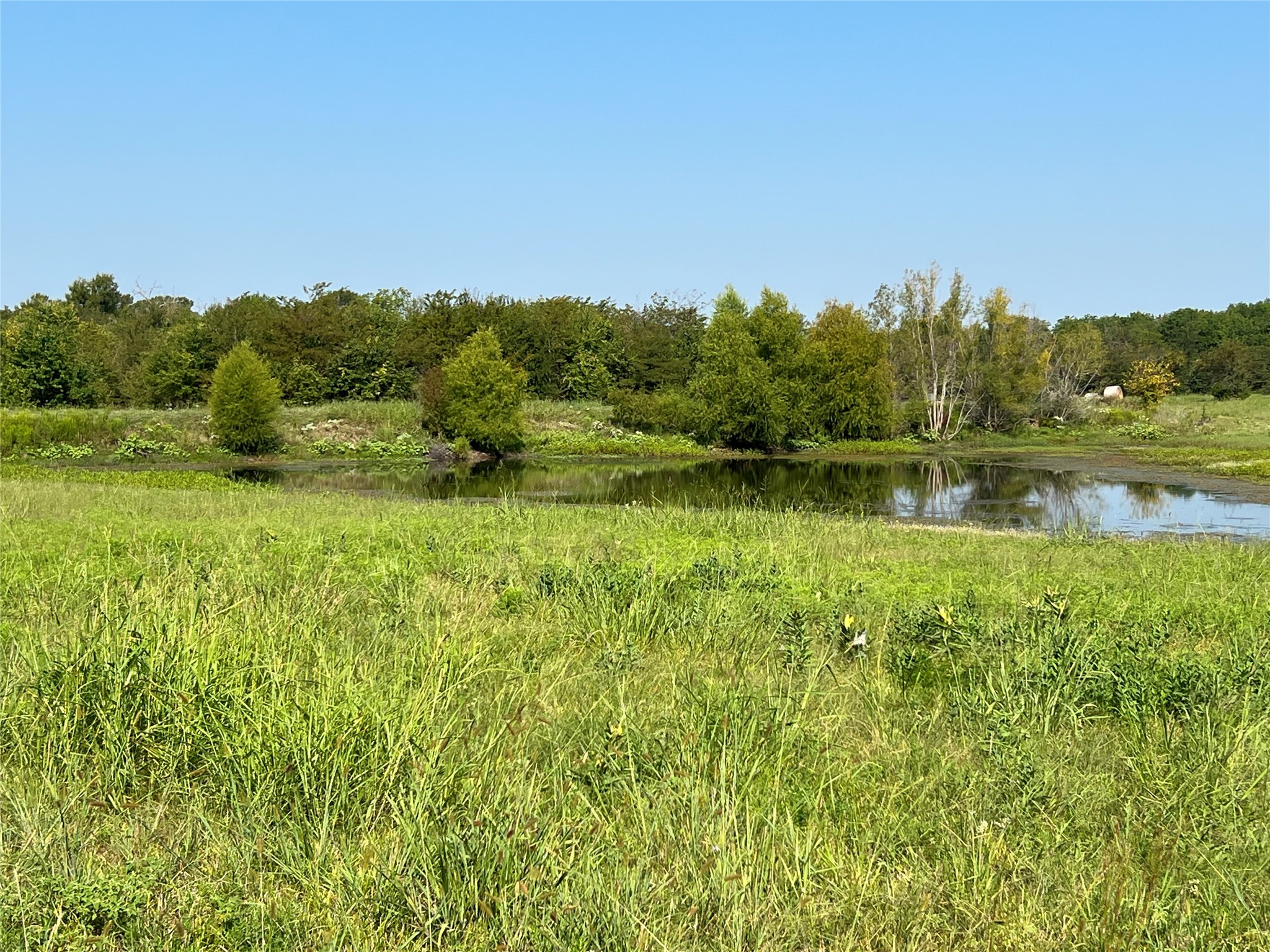 Tbd County Road 4145 Cooper TX 75432