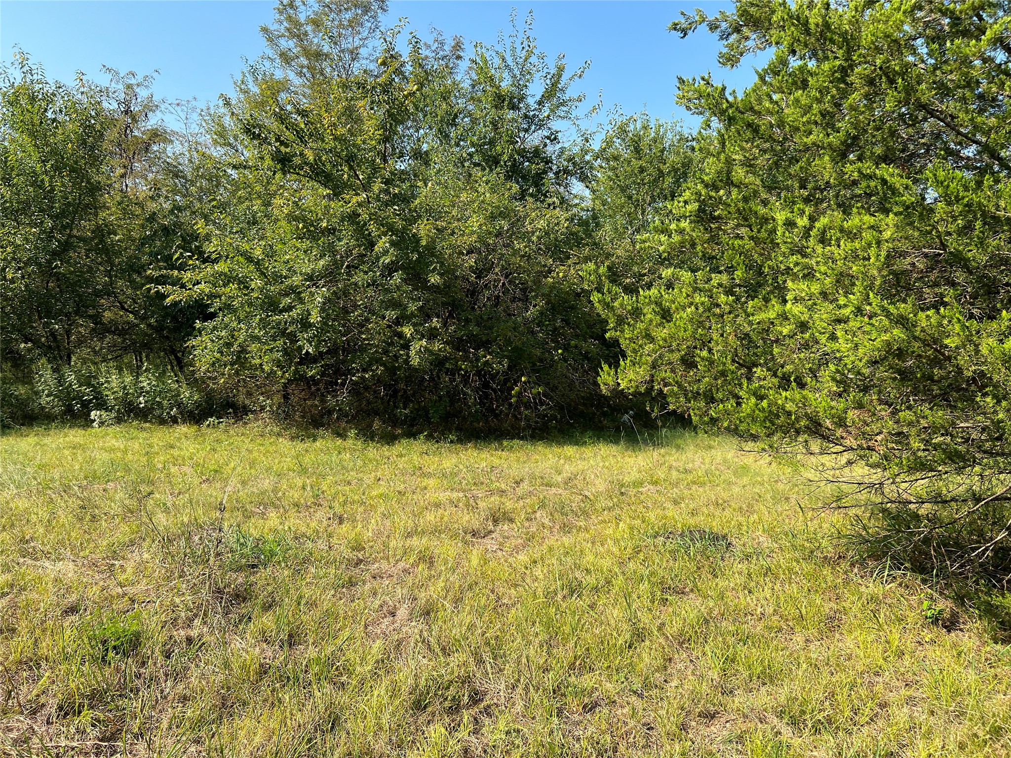Tbd County Road 4145 Cooper TX 75432