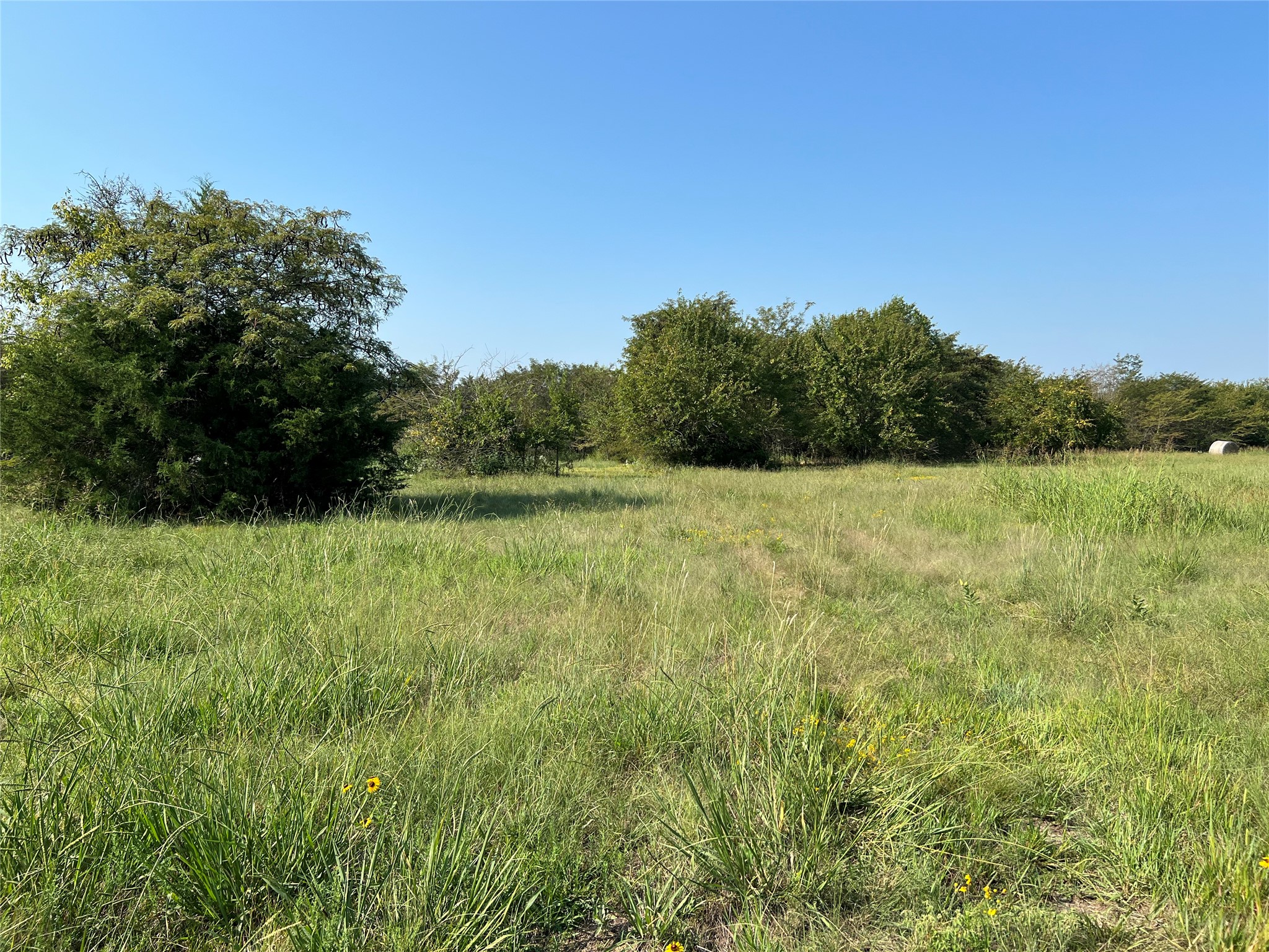Tbd County Road 4145 Cooper TX 75432