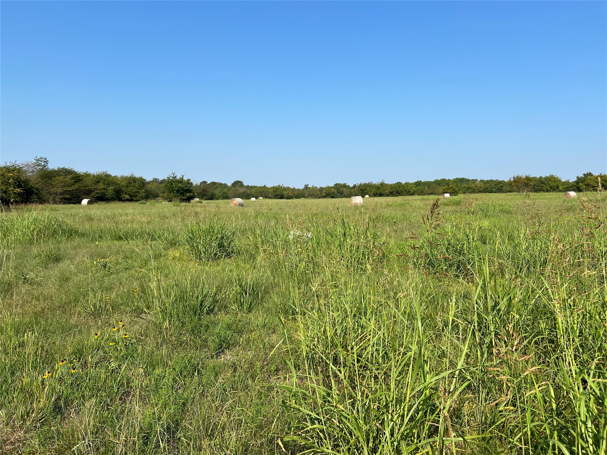 Tbd County Road 4145 Cooper TX 75432