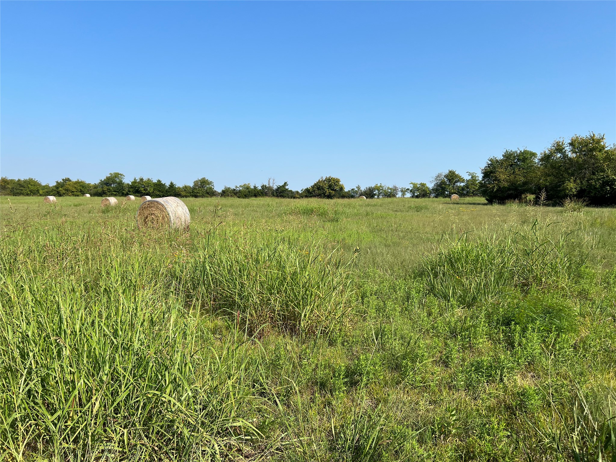 Tbd County Road 4145 Cooper TX 75432