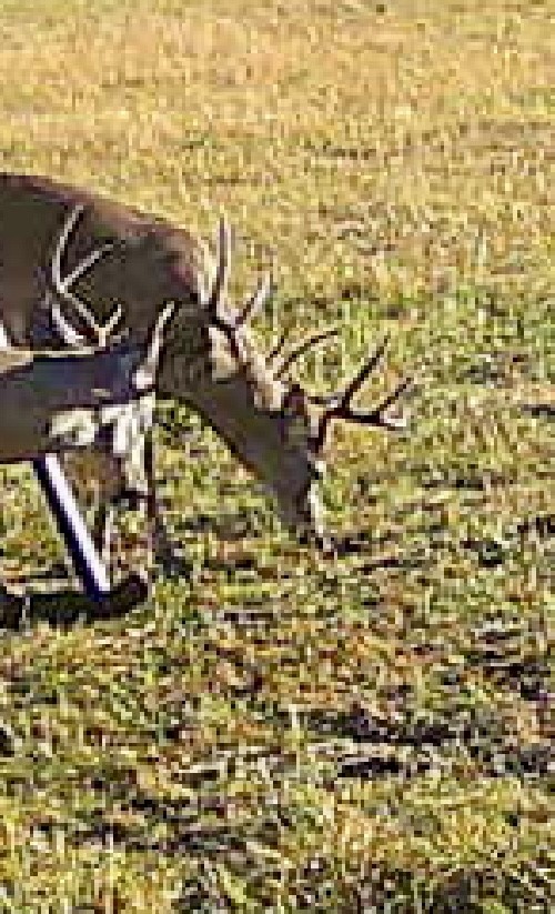 Tbd County Road 4145 Cooper TX 75432