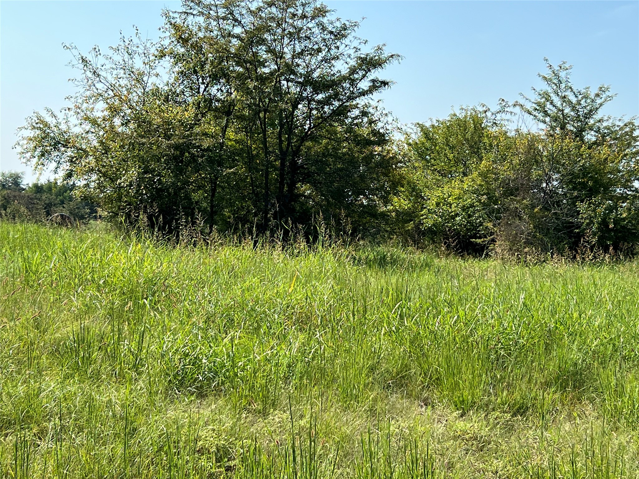 Tbd County Road 4145 Cooper TX 75432