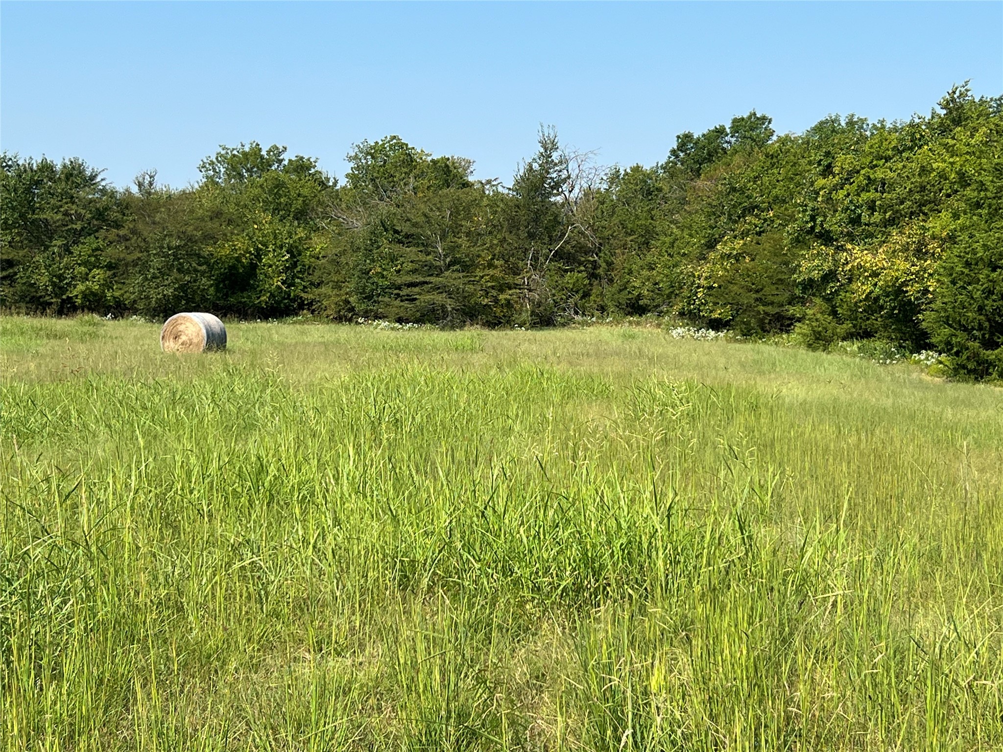 Tbd County Road 4145 Cooper TX 75432