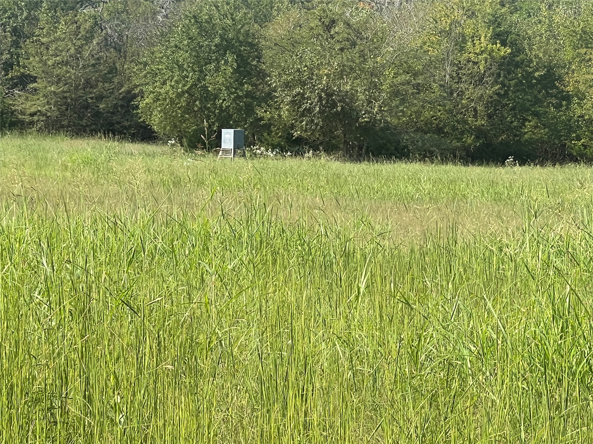 Tbd County Road 4145 Cooper TX 75432