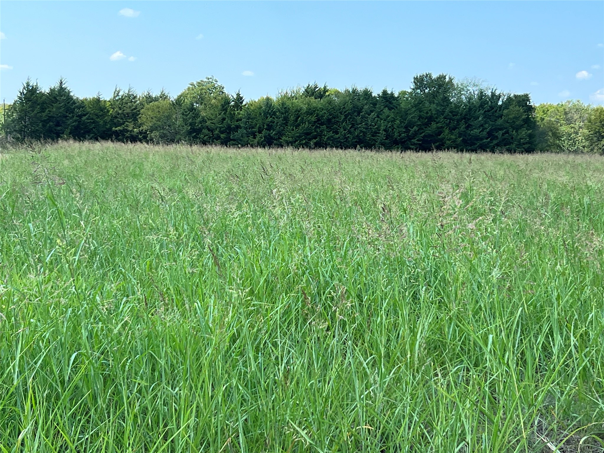 Tbd County Road 4145 Cooper TX 75432