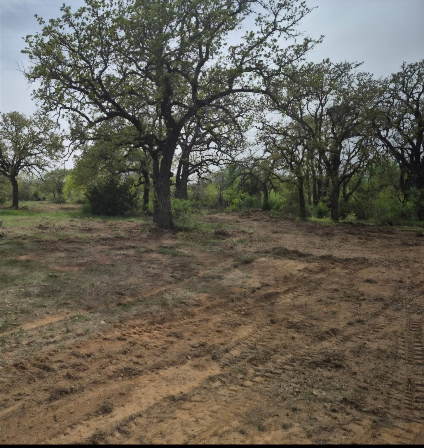 2005 Atticus Court Springtown TX 76082