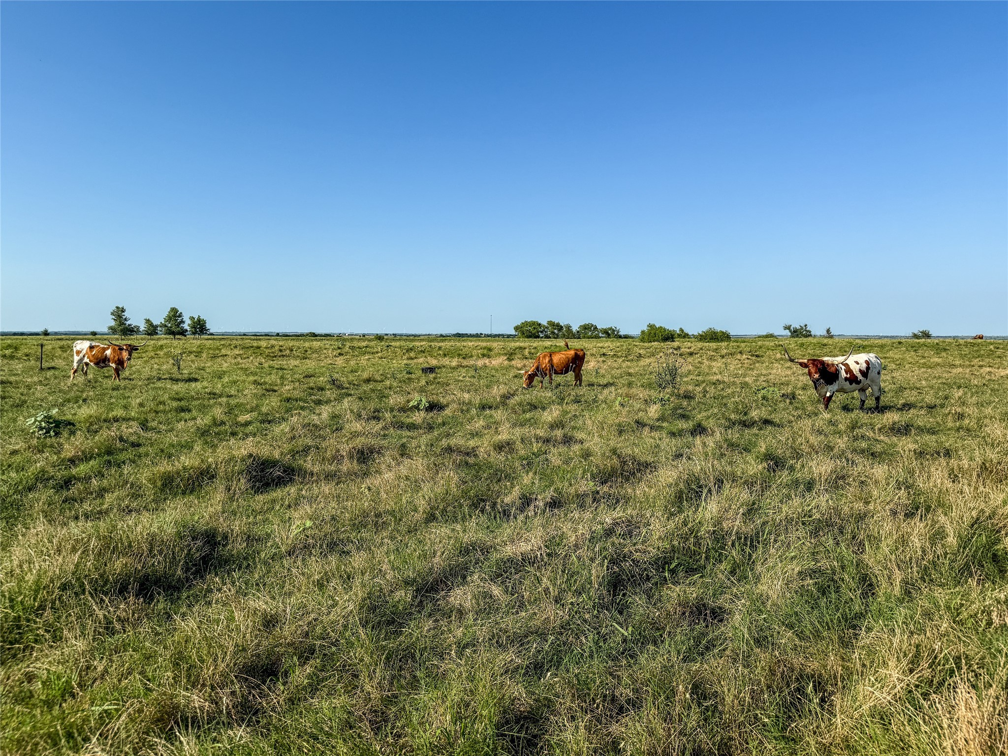 000 Fm 51 Road Sanger TX 76226