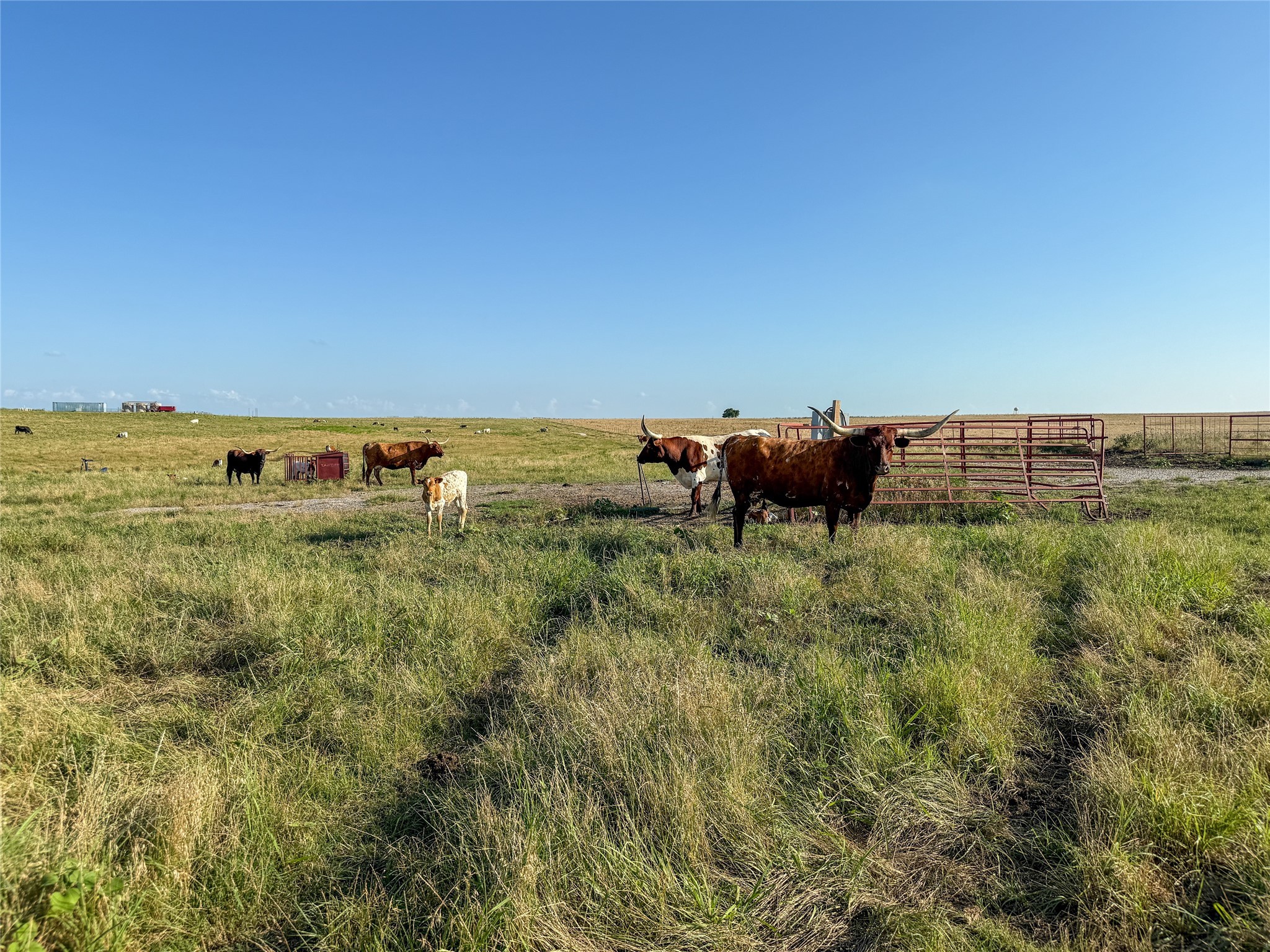 000 Fm 51 Road Sanger TX 76226