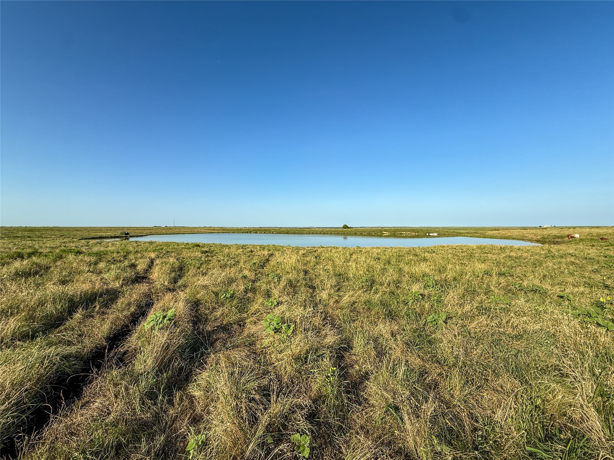 000 Fm 51 Road Sanger TX 76226