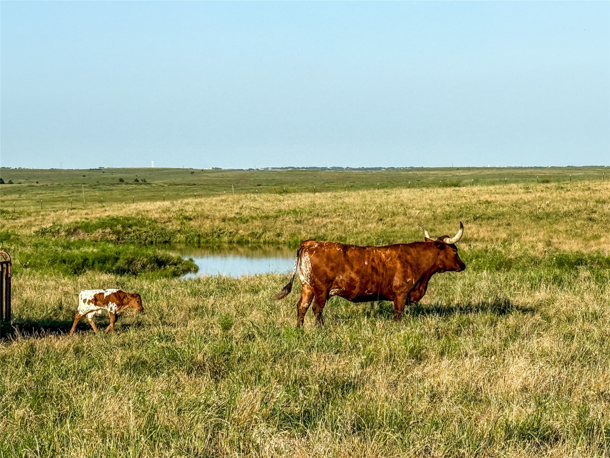 000 Fm 51 Road Sanger TX 76226