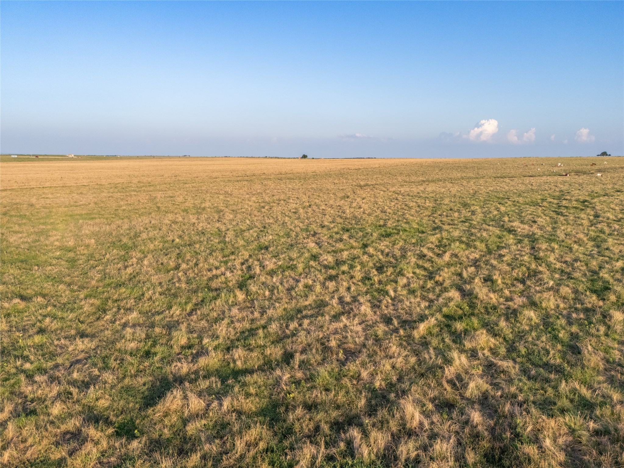 000 Fm 51 Road Sanger TX 76226