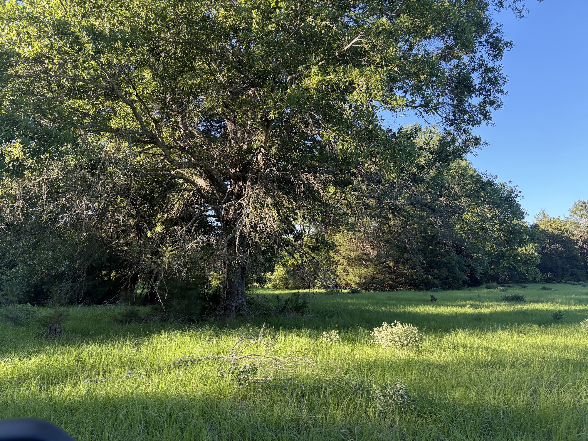 289 Fcr 261 Oakwood TX 75855
