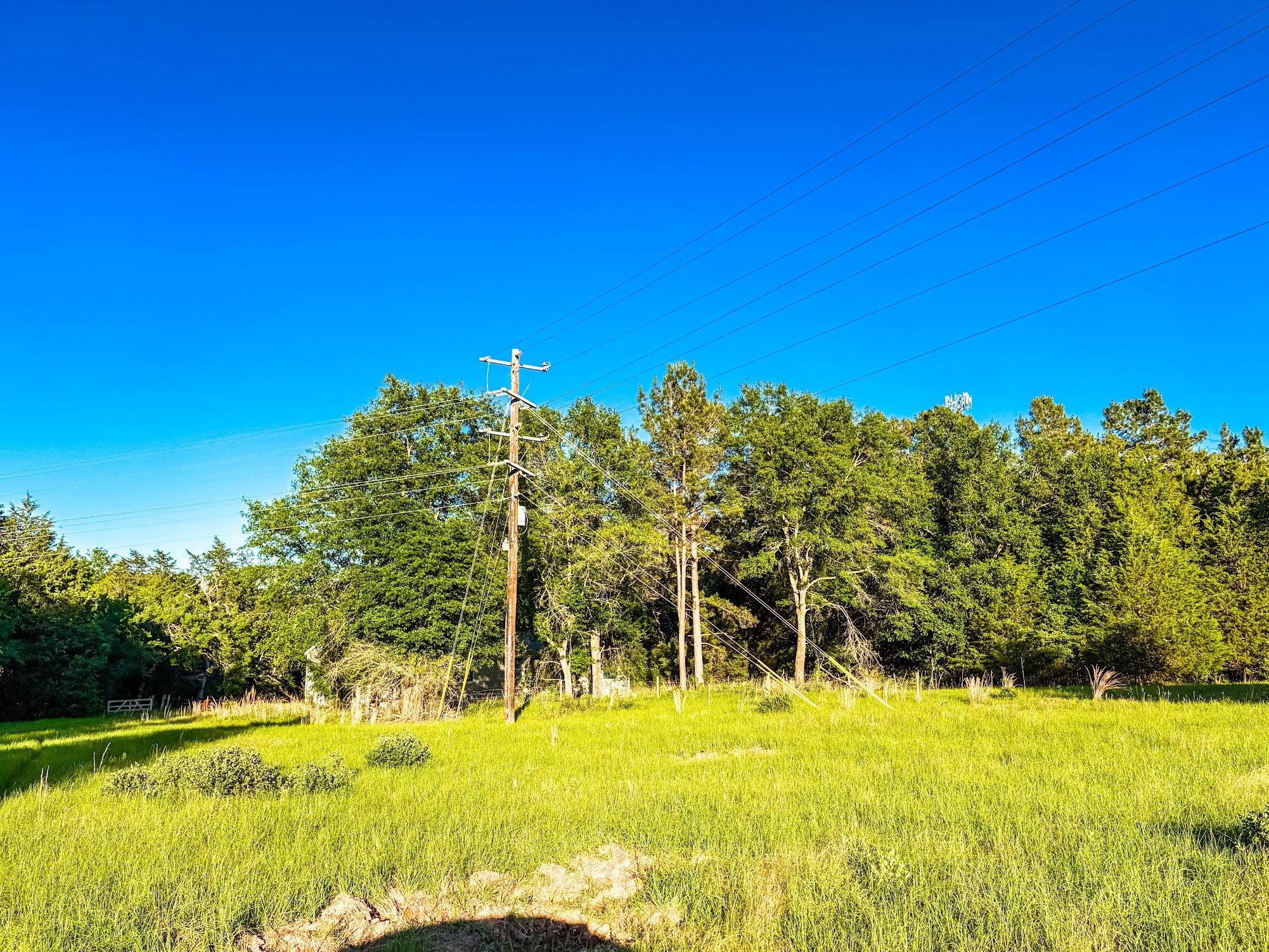 289 Fcr 261 Oakwood TX 75855