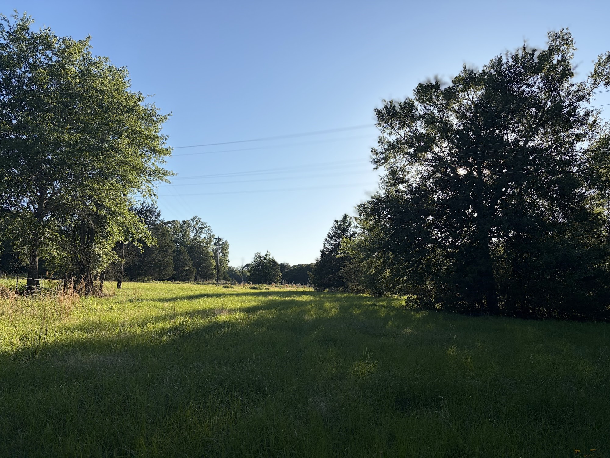 289 Fcr 261 Oakwood TX 75855