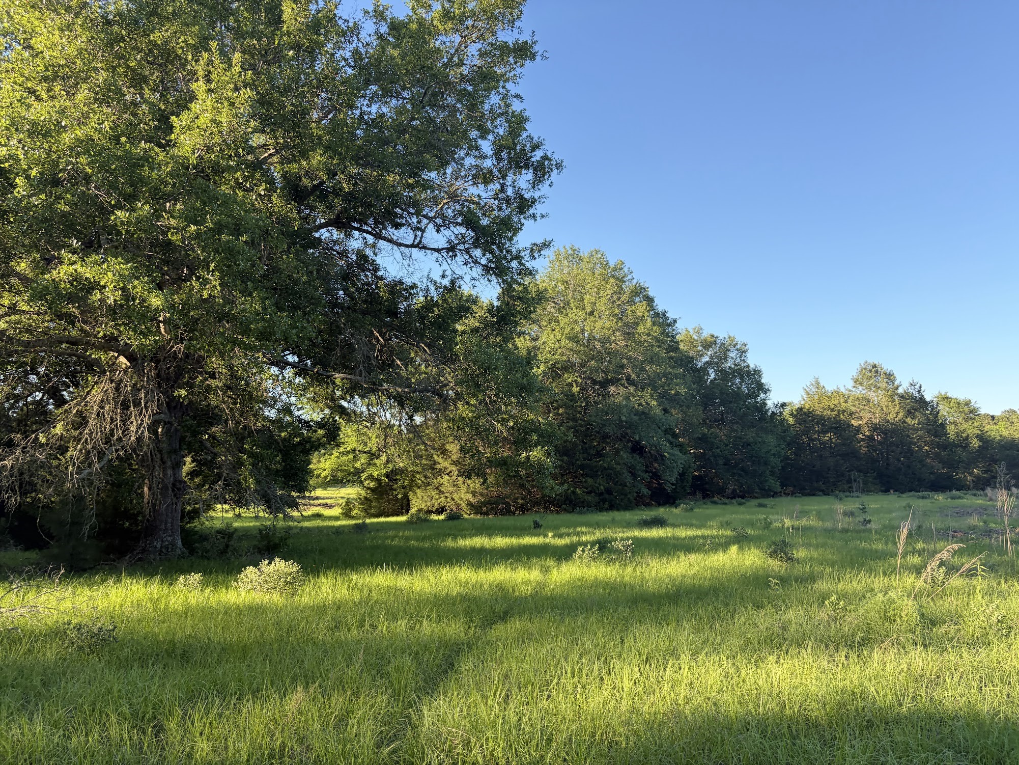 289 Fcr 261 Oakwood TX 75855