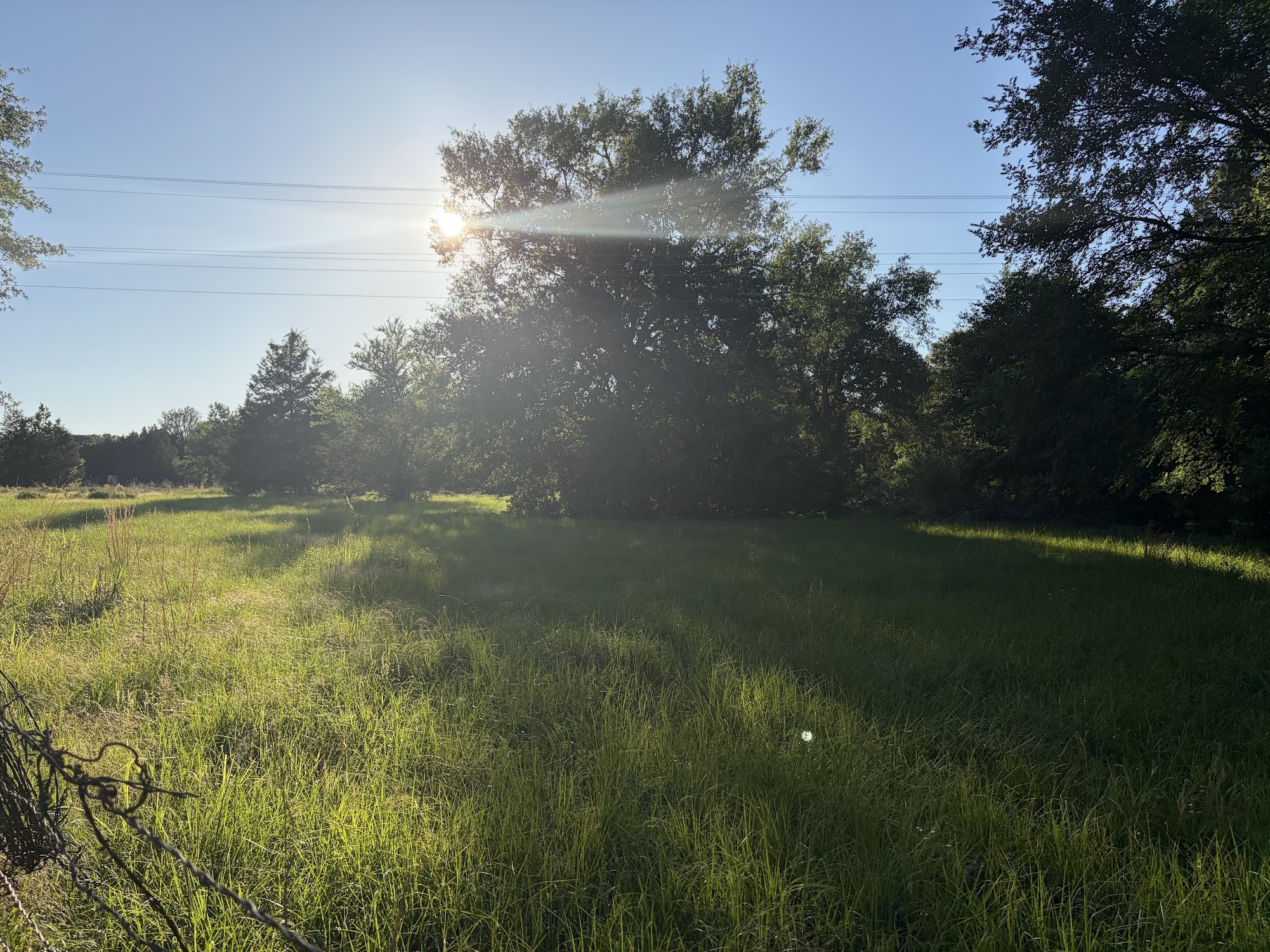 289 Fcr 261 Oakwood TX 75855