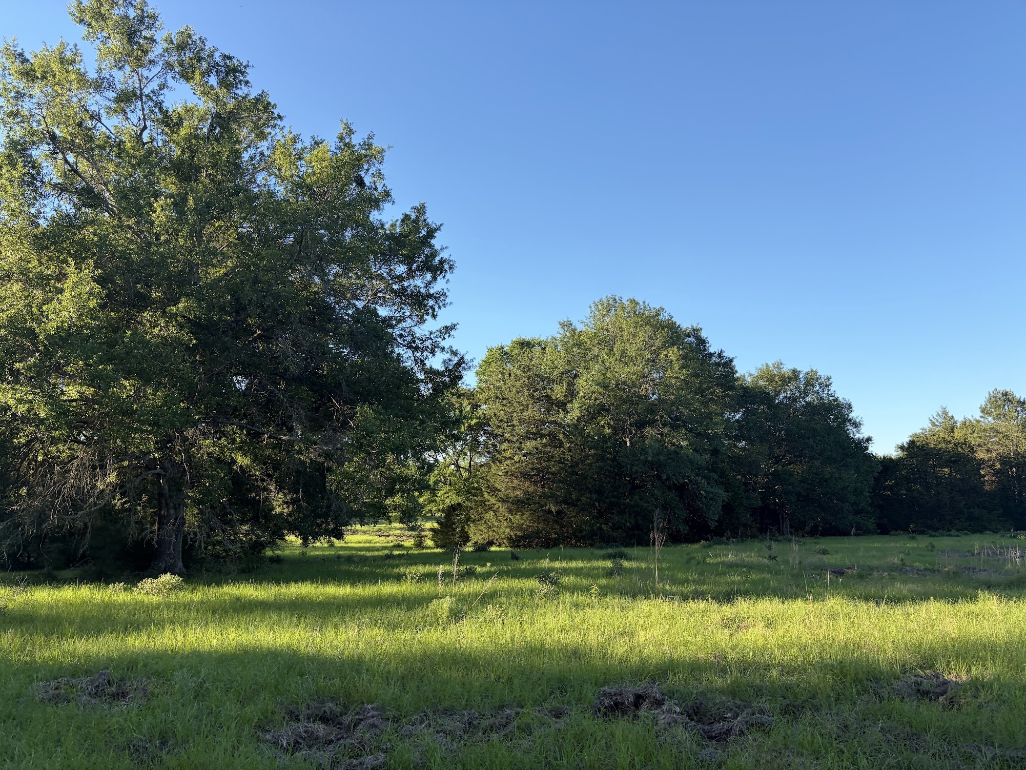 289 Fcr 261 Oakwood TX 75855