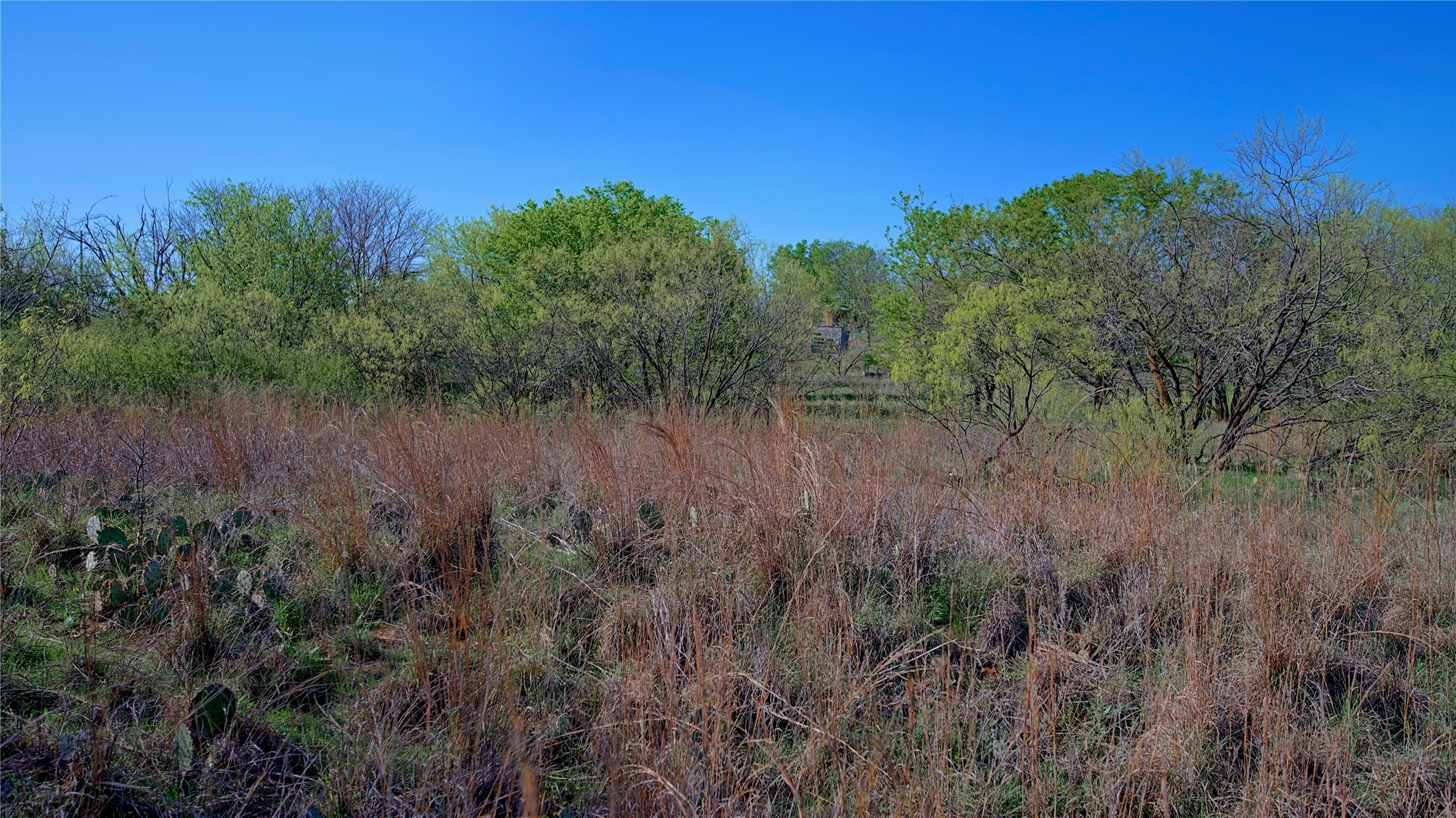 437 Moody Road Ringgold TX 76261