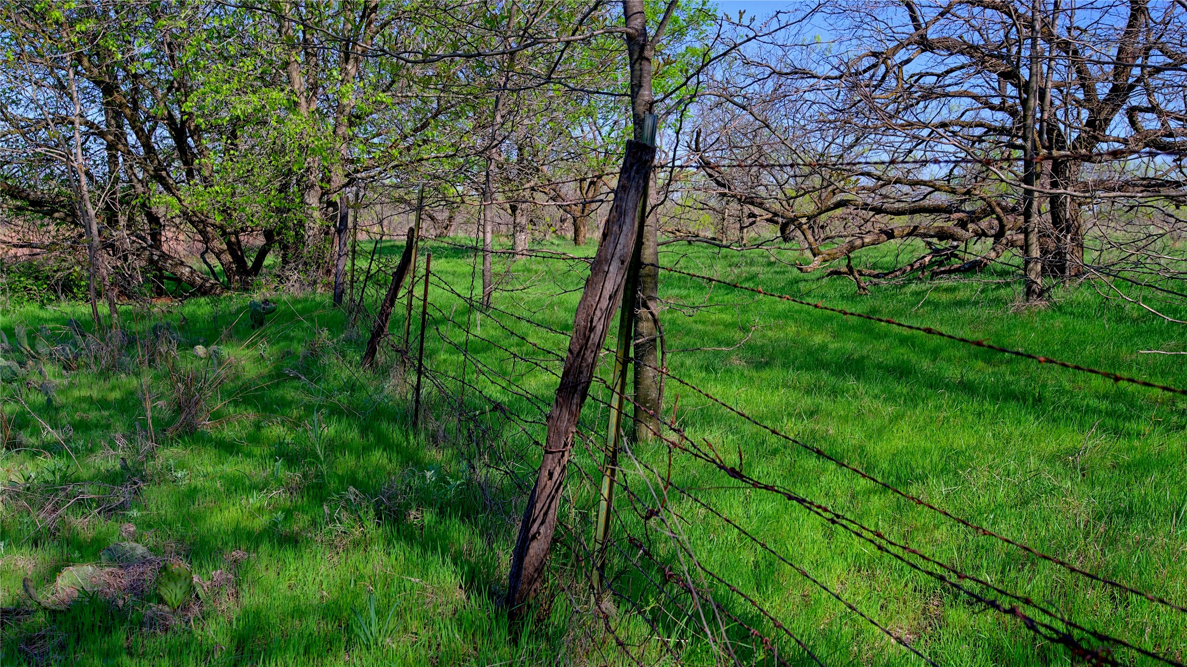 437 Moody Road Ringgold TX 76261